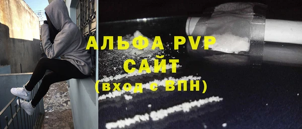 гидра Няндома