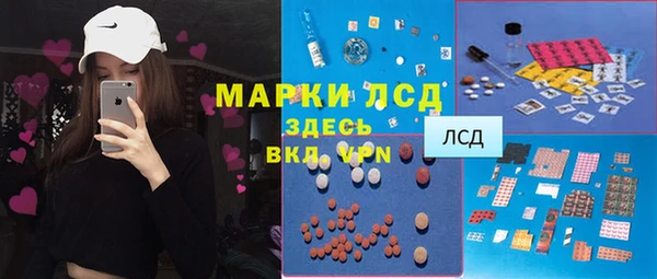 гидра Няндома