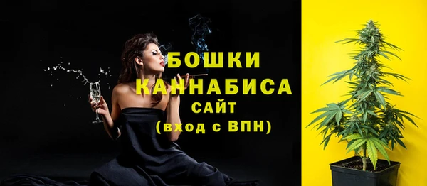гидра Няндома