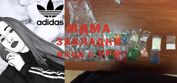 гидра Няндома