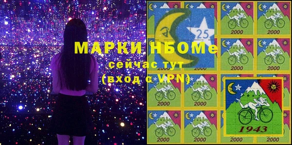 гидра Няндома