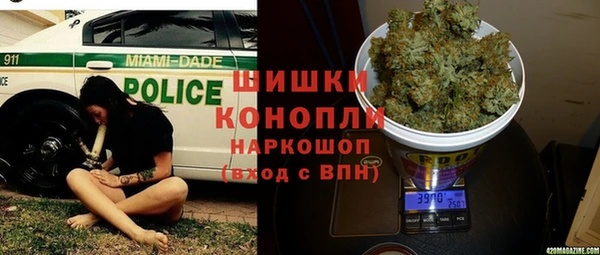 гидра Няндома