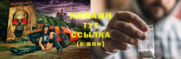 гидра Няндома
