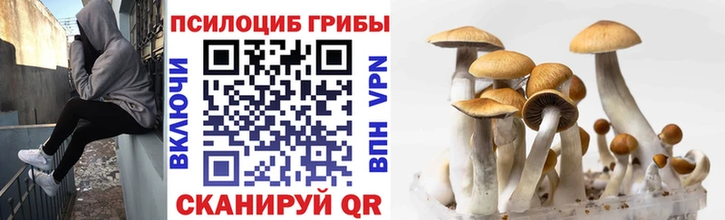 Псилоцибиновые грибы Magic Shrooms  цены наркотик  Нефтегорск 