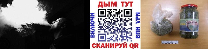 Бошки марихуана Amnesia  Нефтегорск 